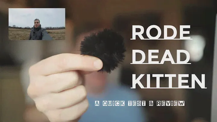 HOW TO IMPROVE YOUR AUDIO: Testing the Rode Dead Kitten