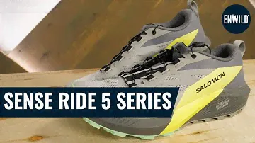 Salomon Sense Ride 5 Shoe Series Review