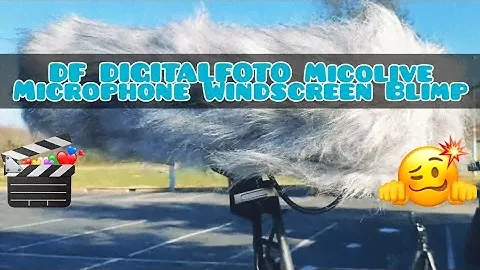 DF DigitalFoto Micolive Microphone Blimp Windscreen Style Shock Mount Suspension System