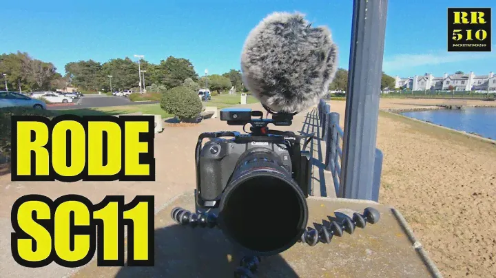 RODE SC11 + VideoMic Pro Plus + RODE Wireless GO