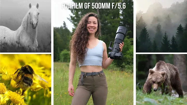 Fujifilm GF 500mm f/5.6 REVIEW | Fujifilm GFX100s II