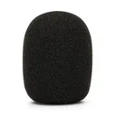 Rode WS2 Wind Shield (Large Capsule Mics)