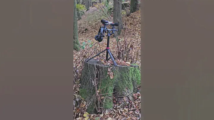 Field recording with ZOOM F3 and RODE NT5