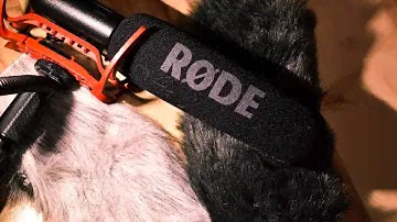 Rode Videomic Deadcat Test: Rode VS Rycote